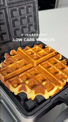 3 Ingredient Low Carb Waffles! (56g of protein!)