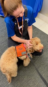 Thank you to everyone who joined us at ACAP Info Night – the future of the helping professions looks bright with you on board ✨ Your journey to becoming mental health champions officially starts at Orientation – we can’t wait! | ACAP University College