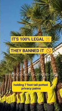 My HOA Banned My Fence... So I Hired 20 "Human Walls" 🚧 #HOA #ProRevenge #Karen