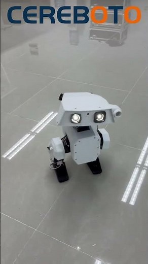 OpenDuck MiniV2 Take me home:https://cereboto.com/product/open-duck-mini-v2/ #robotics#openduckmini