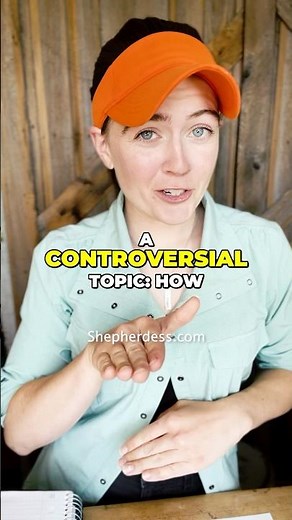 🐑 BREEDING SHEEP TOO YOUNG? | Sheep Farming for Beginners Tips Dorper