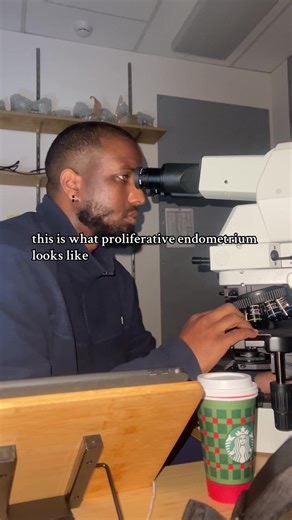 Understanding Proliferative Endometrium in Histology