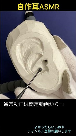 【ASMR】自作耳1号をステンレス３連円盤耳かきでカリカリ🎧〖音フェチ/声なし〗#shorts #asmr #notalking #earcleaning #relax