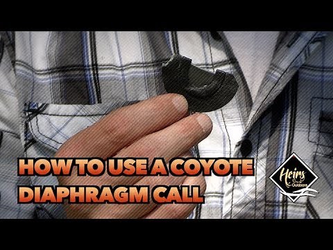 How to Use a Coyote Diaphragm Call | Heirs 101 - Heirs to the Outdoors