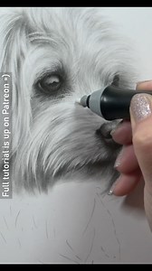 165K views · 6.9K reactions | Drawing white fur in graphite requires...