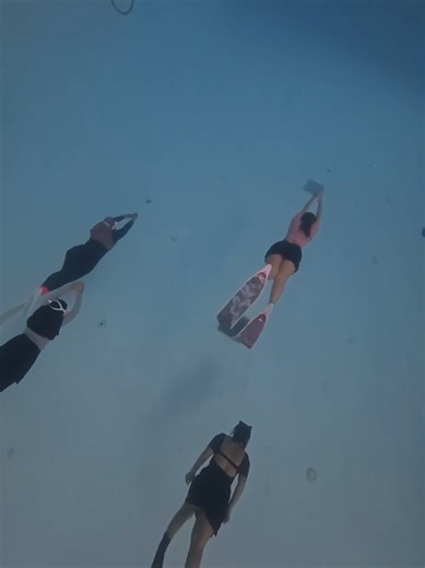 menu latihan kami di hari minggu ini adalah, finning selama 30detik lanjut duckdive dan dynamic sepanjang 30meter rest 1 menit lalu lanjut finning 30 detik, duckdive dan dynamic dengan gerakan dolphin sepanjang 30 meter di lakukan sebanyak 4 set, capeeee tapi seruuuuu video take by @aju_pach #funpracticewithjds #fundivewithjds