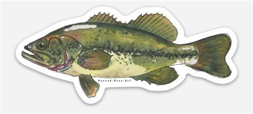 Large Mouth Bass Sticker - Etsy