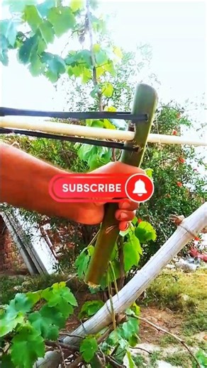 arrow slingshot shot bottle 🍾#shorts #diy #slingshot