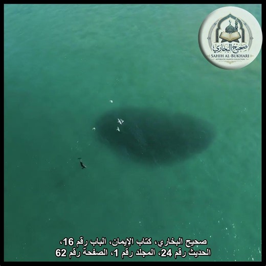 من أروع أحاديث النبي ﷺ عن فضل الحياء - صحيح البخاري (24)