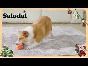 Peppy Pet Smart Rolling Dog Ball – Interactive USB Rechargeable Toy 🐾 #SmartDogBall