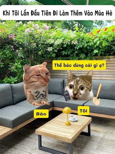 Khi tôi lần đầu tiên đi làm thêm vào mùa hè