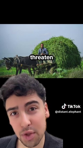 Nile Delta is SINKING