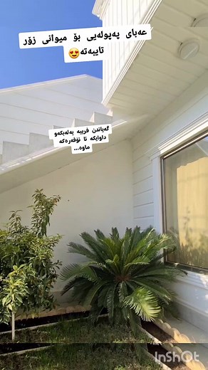 لەسەر هەمووقوماشێک ئەتوانن داوابکەن... بۆ داواکردن فۆڵۆوی ئینستا بکەن ئەزیزان daisy.handmade66 #karydasty #everyone #fyp #halabja #سلێمانیەکەم_هەولێر_کەرکوک_کەلار_سەیسایەق #sulaimani #halabja #arbil_iraq_sulaymanya_duhok_karkuk #explorerpage #followers #chamchamal #reels__tiktok