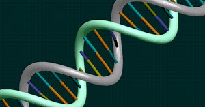 DNA evidence overturns man's rape conviction in 1995 Yakima case