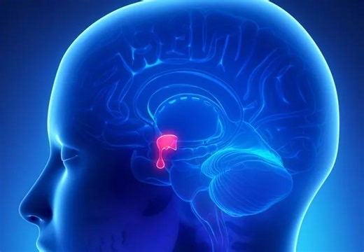 Acromegaly: Diagnosis and Treatment Options