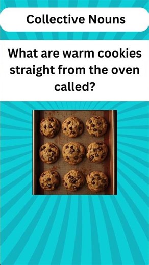 A Batch of Cookies | Collective Nouns | Food Series