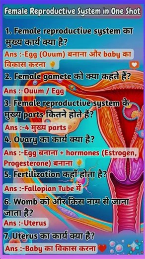 Reproductive System: 7 Key Questions & Answers #gk
