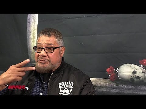 King Haku on Harley Race