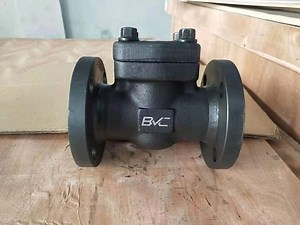 [Hot Item] Class800 Forged Steel A105 Flanged Swing Sw Check Valve