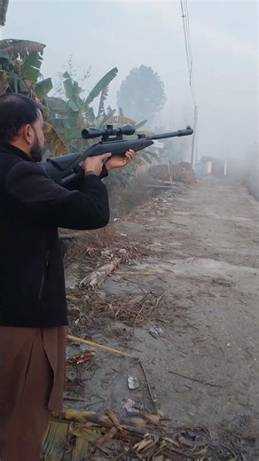 Airgun Bird Hunting Silent Field Hunter Pro Level Shooting