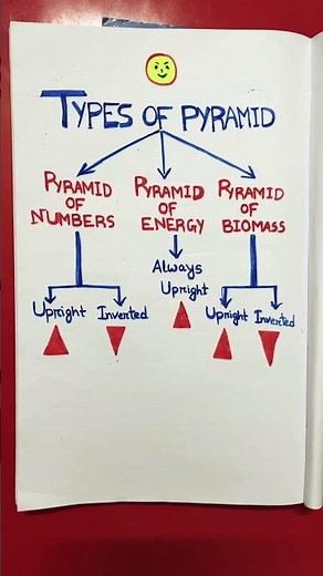 #types of #pyramid