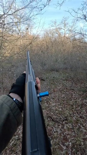 #huntingmacedonia #wildmacedonia #hunting