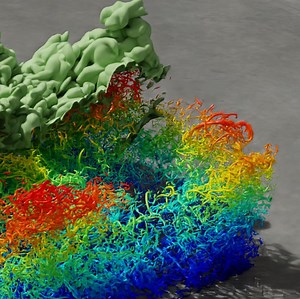 Powerful simulation solves vital physics problem