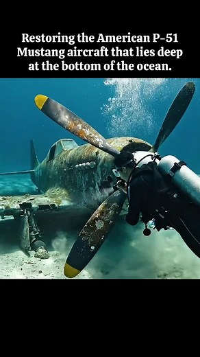 Restoration of the P-51 Mustang Aircraft Found Underwater