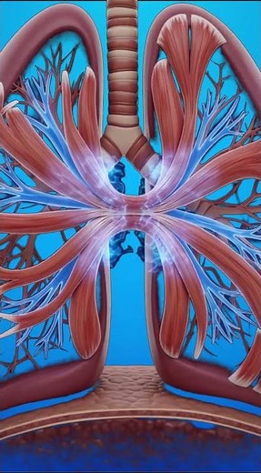 What Happens Inside Your Body During an Asthma Attack? 😨 (3D Animation)
