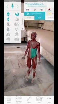 Augmented reality - Human Anatomy Atlas Briefing