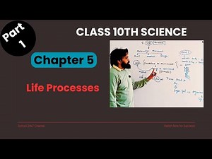 Life Processes Class 10 |Chapter 5 Part 1|What Are Life Processes? | NCERT Science #science #biology