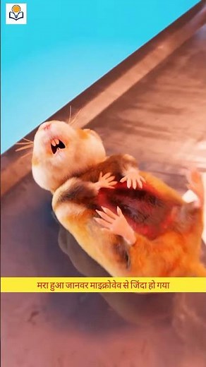 Microwave Brought a Dead Hamster Back to Life 😨 #facts #shorts