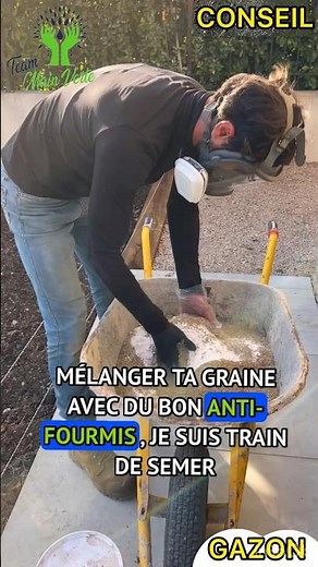 3 techniques inavouables pour réussir à semer ton gazon ? #lateammainverte