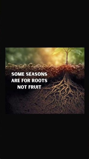 Some Seasons Are For Roots, Not Fruit 🌱💪 | true Talks All #truetalksall
