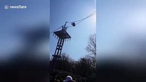 Orangutang defecates on visitors to Washington, D.C. zoo