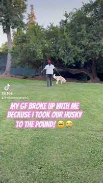 Help me get her back! #shorts #husky #shortvideo #fypシ