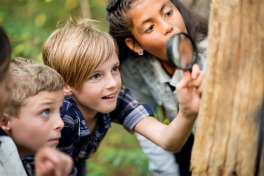 Creative Science Experiments for Young Learners | WWNC