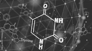 Chemical structural formula of thymine - DNA and RNA nitrogen base