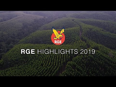 RGE 2019 Highlights