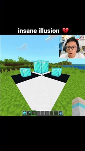 Minecraft Insane Illusion Moment