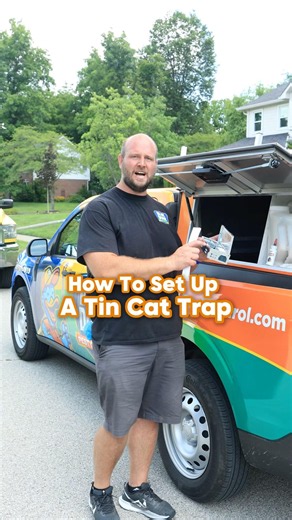 How to Get Rid of Mice Fast With One Simple Trap #shorts