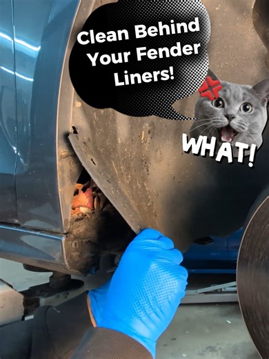So Satisfying: Cleaning Behind Your Fender Liners & Undercoating #vwtdi #norust #mechanic https://reflextuning.com/audi-vw-vehicle-protective-anti-corrosion-undercoating/ | Reflex Automotive | Facebook