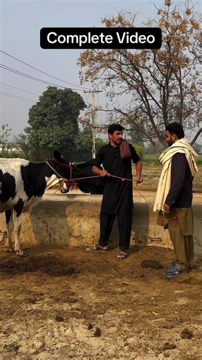 Complete Video: Veer Veeran Diyaan Bavan Comedy