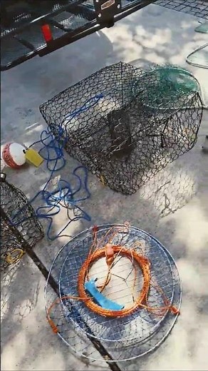Blue Crabbing Gear
