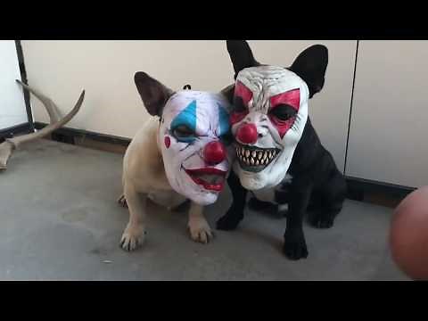 Best Fails/Wins of December 2017 - Week 3 & 4