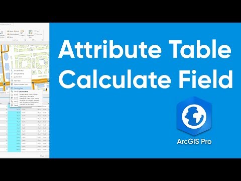 021 ArcGIS Pro Tutorial: Attribute Calculate Field
