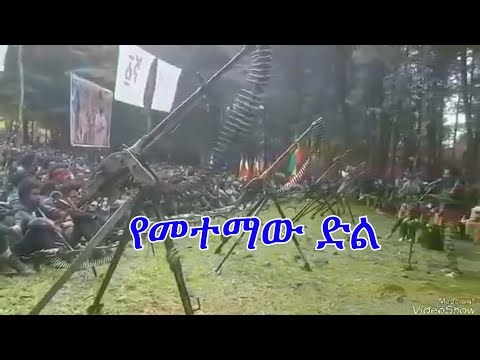 Anchor news update ''የመተማው ድል ትልቅ ነው። በዚህ ቁጥር የአብይ ሰራዊት ተደምስሶ አያውቅም'' የአፋብሃ ሰሜን ቀጠና በላይ ዘለቀ ዕዝ