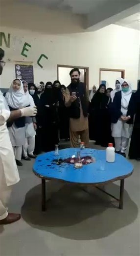 fun with chemistry KMnO4 and H2O2