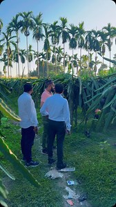 276K views · 6.3K reactions | Dragon fruits fram| Assam | India  2024 | Shihab Chottur | Facebook