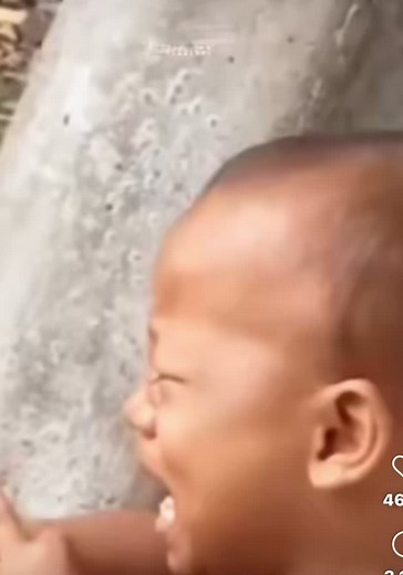 Hilarious Jose Meme Compilation